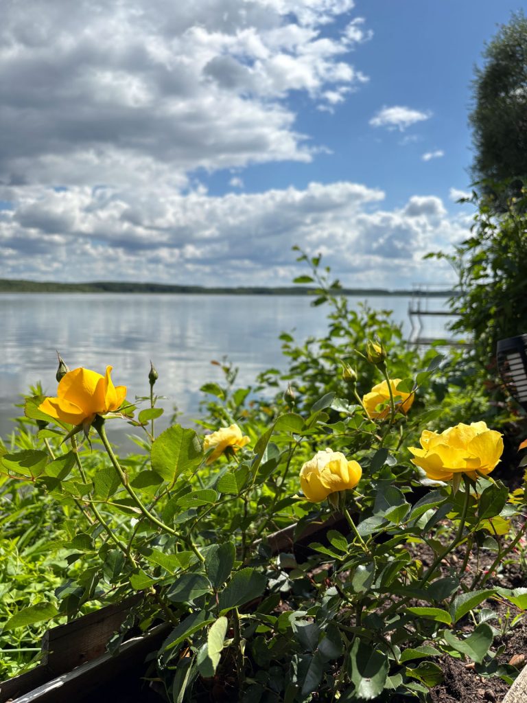 Jurybesuch bei der Wildpark Mellensee GmbH