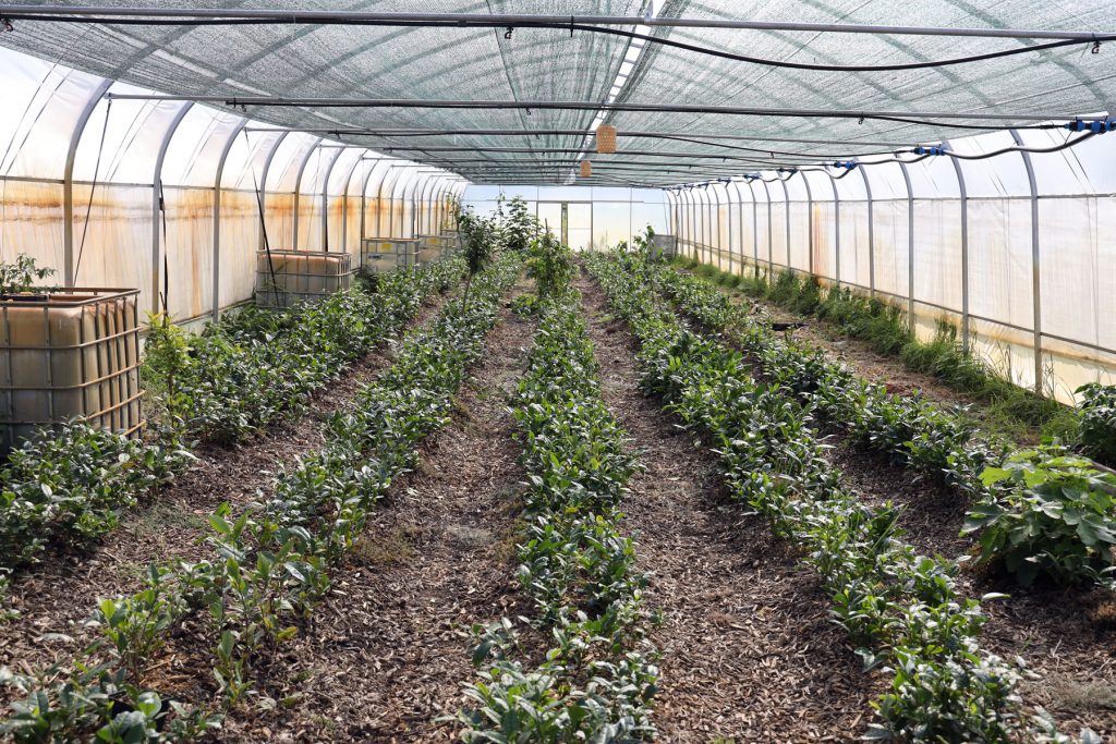 Jurybesuch bei Growing Karma