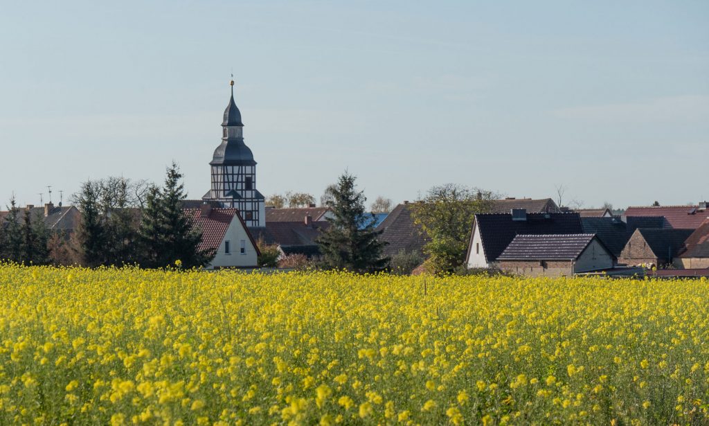 Niedergörsdorf - Foto: Catharina Weisser